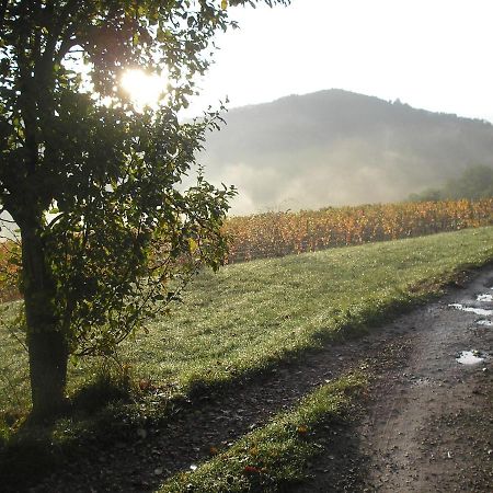 Grange Renovee En Pleine Nature Valady Buitenkant foto