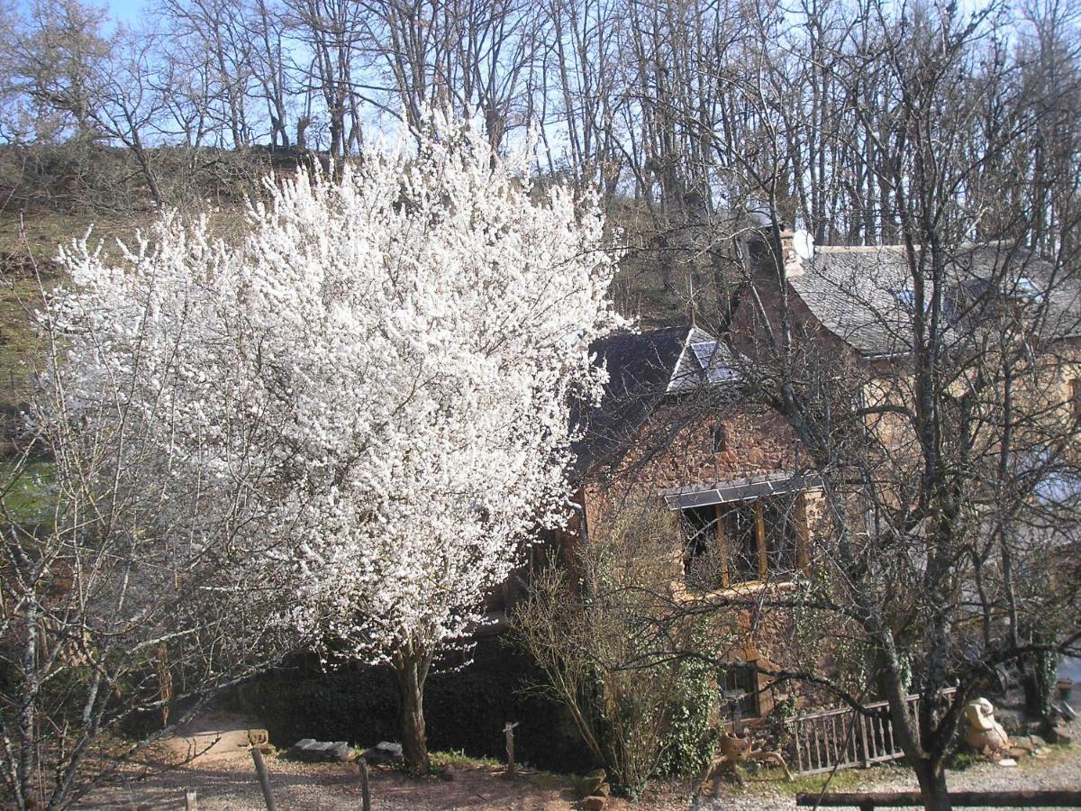 Grange Renovee En Pleine Nature Valady Buitenkant foto