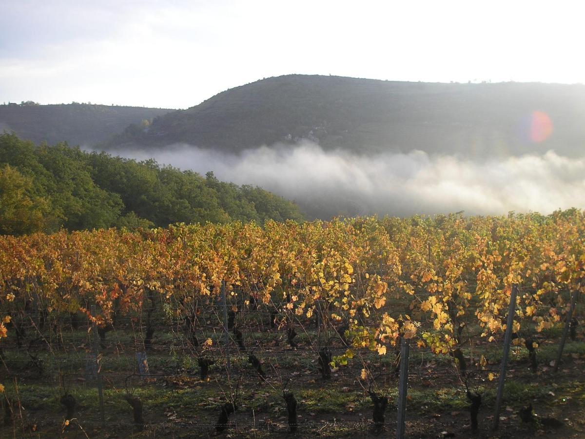 Grange Renovee En Pleine Nature Valady Buitenkant foto