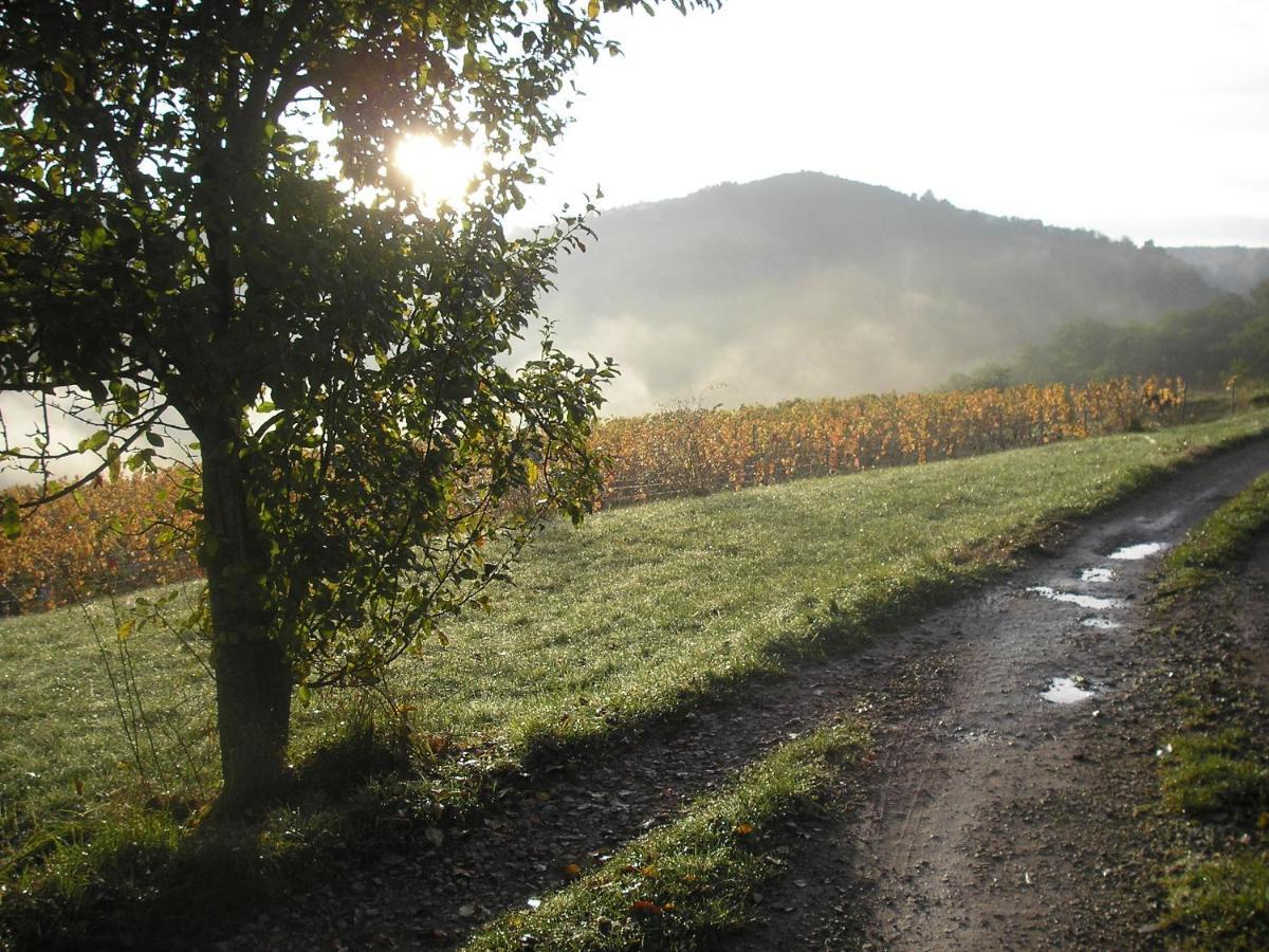 Grange Renovee En Pleine Nature Valady Buitenkant foto